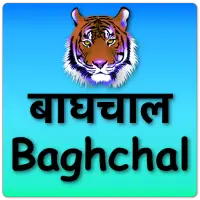 Baghchal Game Screen Shot 2