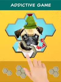 Jigsaw Hexa Block : 직소 퍼즐 Screen Shot 10