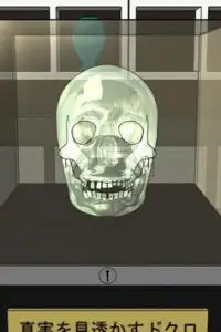 Escape: The Shining Skull Screen Shot 1