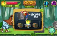 Super Bandicot Jungle Run Screen Shot 5