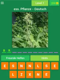 Pflanzen - Deutsch Screen Shot 5