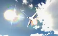 Delta Raptor Top Air Gun Game Screen Shot 1