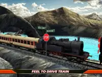 Train Driving Simulator Screen Shot 1
