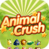 animal crush