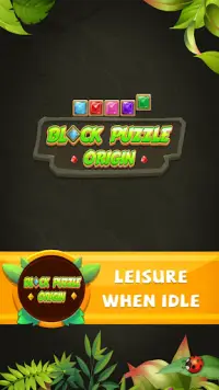 Block Puzzle - The Classic Origin Screen Shot 4