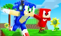 Addon Sonic Adventure per Minecraft PE Screen Shot 2