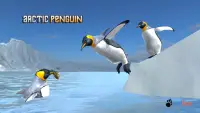 Arctic Penguin Screen Shot 1