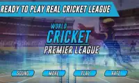 World Cricket Premier League Screen Shot 2