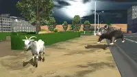 Offroad Bull Simulator Screen Shot 2