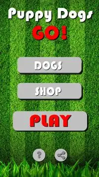 Paw Dogs GO! Pocket Edition Screen Shot 3