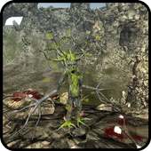 Oak Tree Simulation 3D