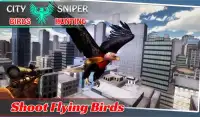City Sniper Birds Hunting Screen Shot 3