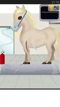 Horse Surgery Game Screen Shot 3