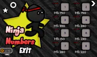 Ninja Numbers Screen Shot 1