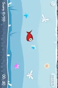 Kiki Fish Screen Shot 1
