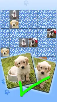 Puppy Games Kids - Cool Puppies for Cool Kids Screen Shot 1