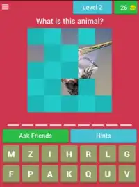 Guess The Animals Quiz Screen Shot 17