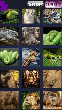 Dschungel-Tier-Puzzle Screen Shot 4