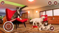 cane cittadina mio animale domestico simulatore 3d Screen Shot 2