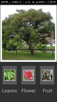 Tree Quiz Game 2020 Screen Shot 6