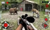 Jungle Hunting Game 2016 Screen Shot 1