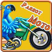 Parrot Moto