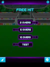 Knock Knock Cricket 2019 Screen Shot 11