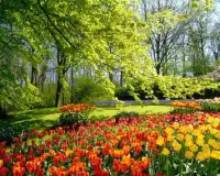 Landscape Nature Holiday Jigsaw Puzzles Screen Shot 3