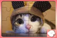 Pouco Gatos quebra-cabeças Screen Shot 0