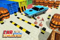 Echte Auto Parkplatz Simulator: Parkplatz Spiele Screen Shot 10