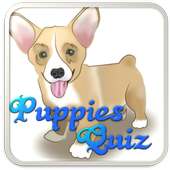 Puppy Dog Breeds Quiz