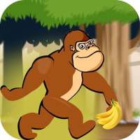 Moto Monkey Banana Jungle Run Adventures