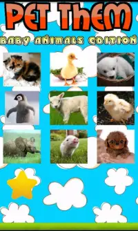 Acariciá-los: Baby Animals Screen Shot 1