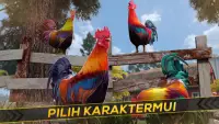 Balap Ayam Jago - Gila Tanah Peternakan Ras Screen Shot 5