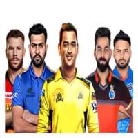 IPL-T20 Cricket game 2021
