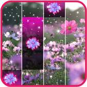 Spring Piano Blossom Tiles Flowers Hearts Love
