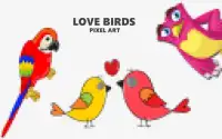 Love Birds Pixel Art | Color By Number 2019 Screen Shot 0