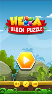 Hexa Block 1010 Screen Shot 0