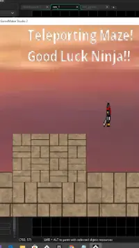 Teleporting Ninja Screen Shot 1