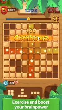 Block Puzzle Game, Sudoku Puzzles Screen Shot 2