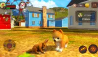 Pomeranian Dog Simulator Screen Shot 10