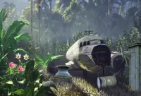 Escape Game - Beautiful Jungle Screen Shot 3