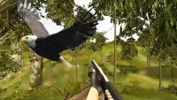 पक्षी शूटिंग साहसिक - जंगल शिकारी उन्माद Screen Shot 3