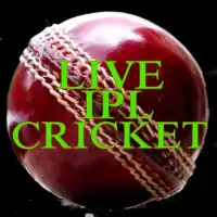 Live Cricket Streming 24 Screen Shot 0