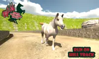 Wild Horse Hill Climb Sim 3D Screen Shot 2