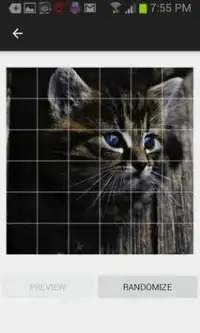 Kitten Sounds and Puzzles Free Screen Shot 6