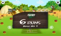 The Ultimate Cricket League Screen Shot 5