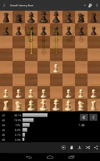 Hawk Chess Free Screen Shot 12