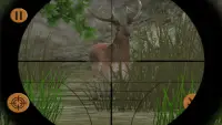 Birds & Animals Hunting 3D Screen Shot 4