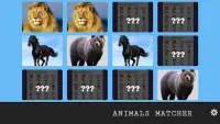 Memory Game - Animals Screen Shot 0